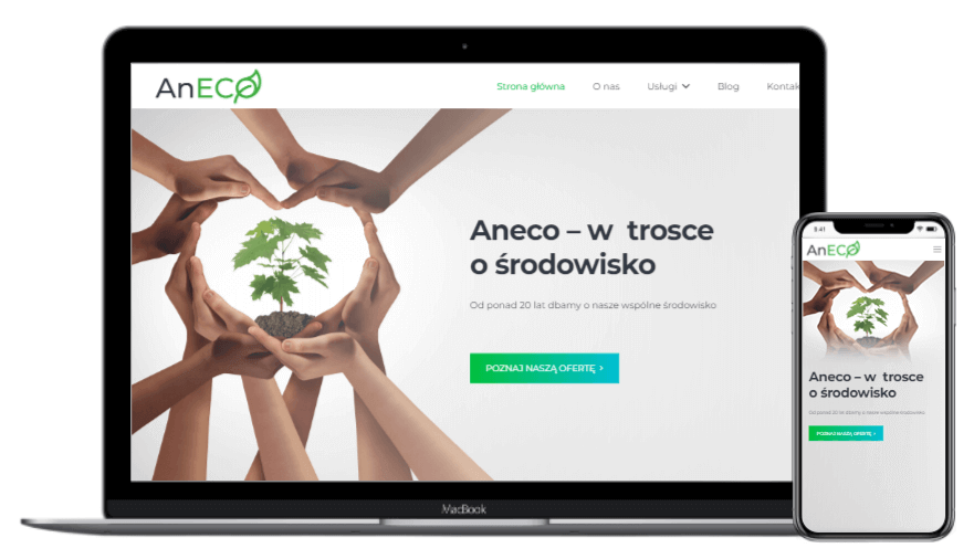 Strona internetowa Aneco Agencja Interaktywna FLO