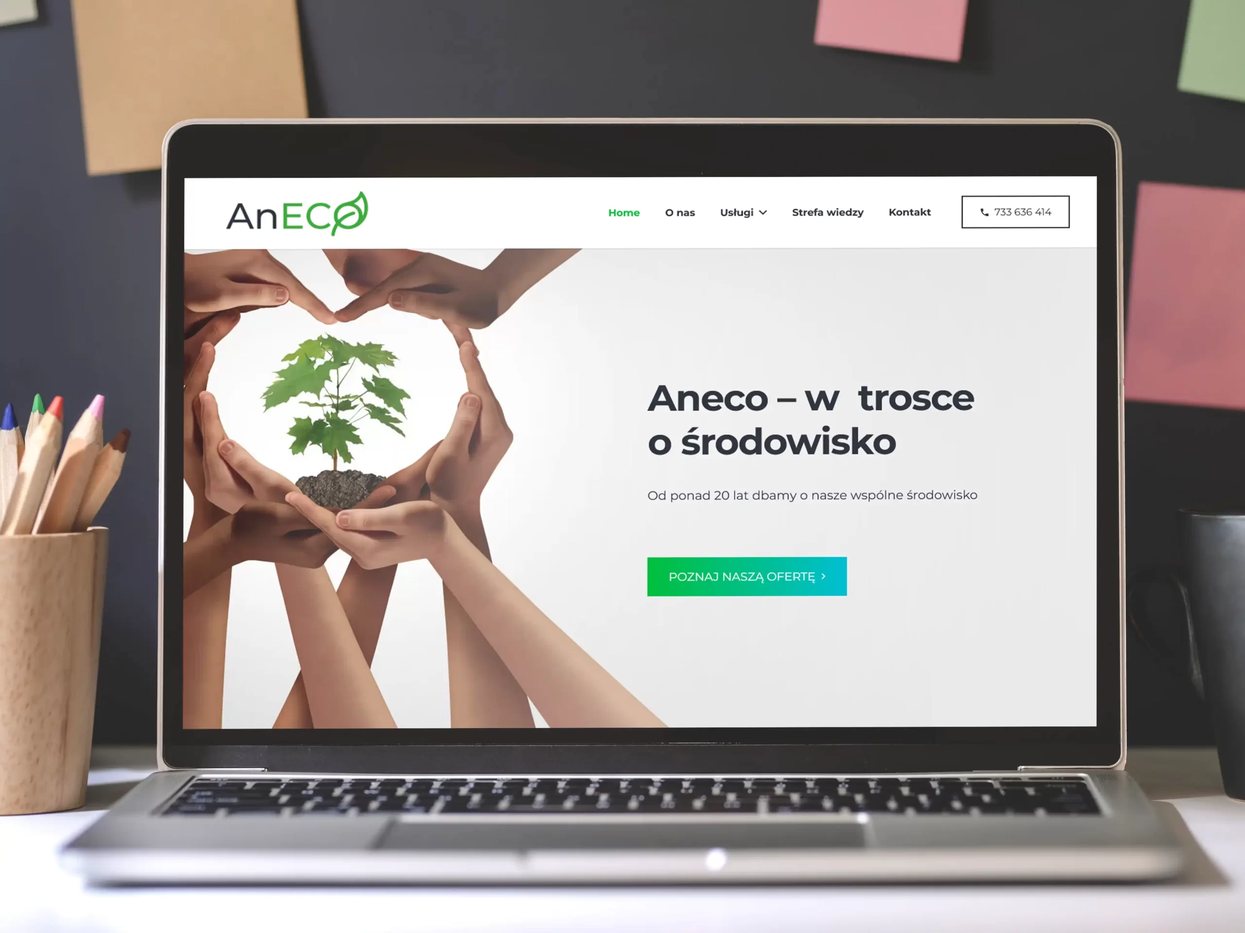 Laptop, a na nim strona internetowa Aneco wykonana przez Agencję Interaktywną FLO