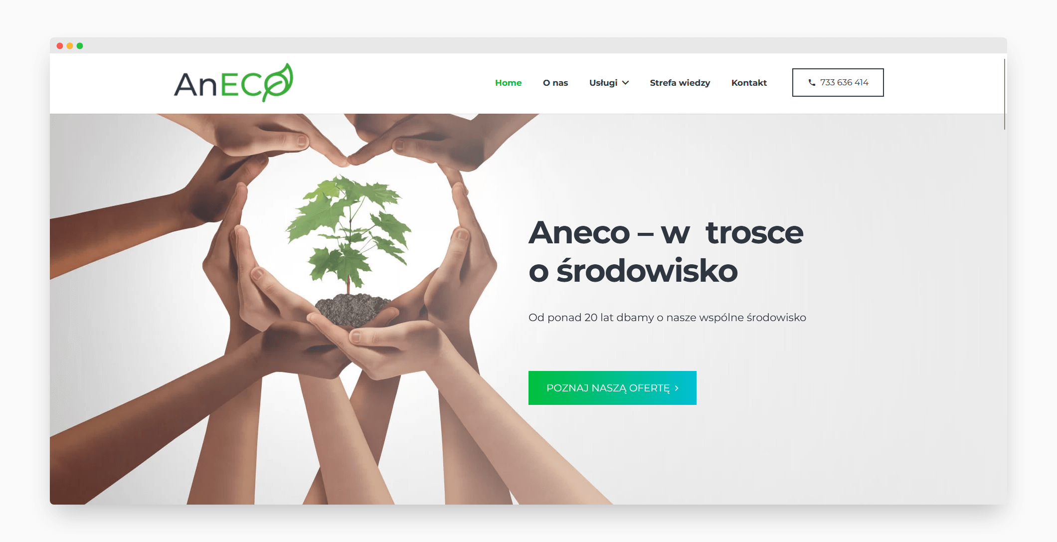 Strona internetowa Aneco Agencja Interaktywna FLO